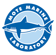 grant-62145-mote-marine-laboratory-inc